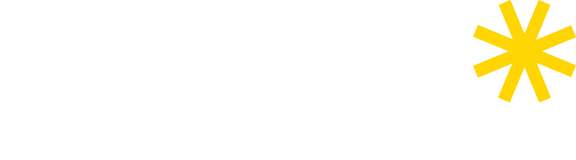 Turku AMK Logo